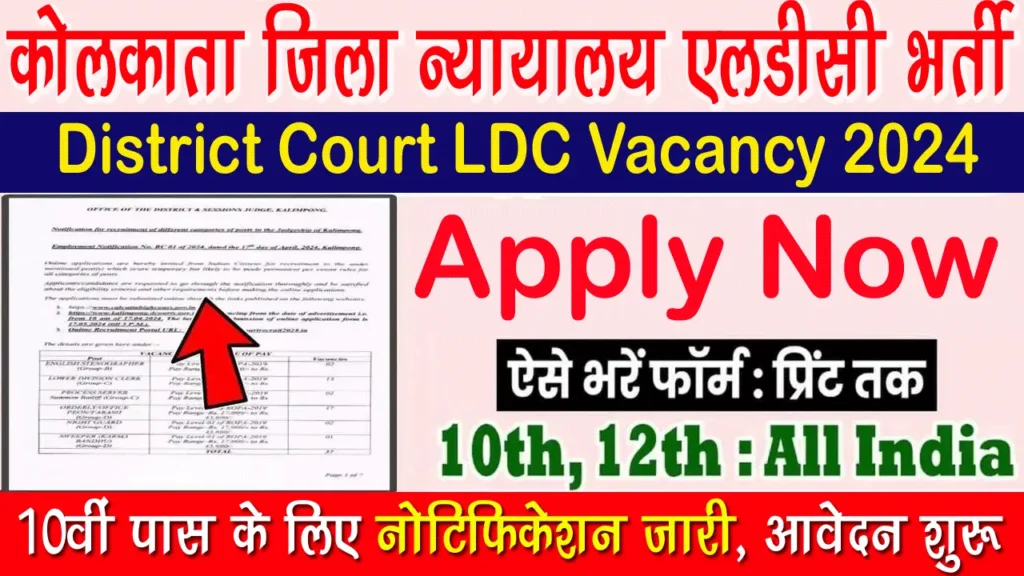 District Court LDC Vacancy